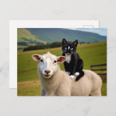 De kat en het schaap - Felini's Country Ride Briefkaart (Voorkant / Achterkant)