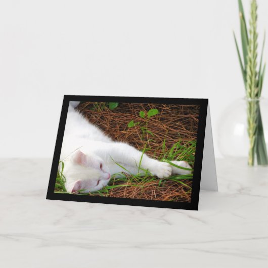De Kat in de Dennennaalden Kaart (Voorkant)