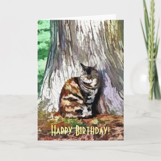 DE KAT KAART (Voorkant)