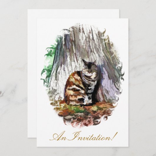 DE KAT KAART (Voorkant / Achterkant)