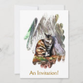 DE KAT KAART (Voorkant)