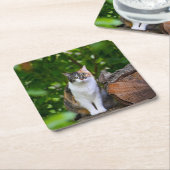 De kat kartonnen onderzetters (Schuin)