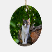 De kat keramisch ornament (Rechts)