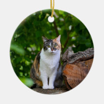 De Kat    