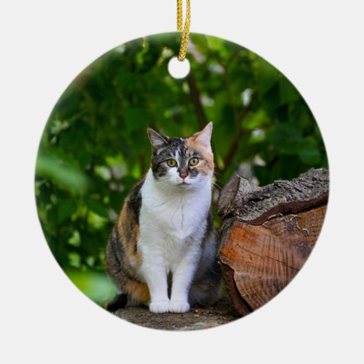 De kat keramisch ornament (Voorkant)