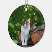 De kat keramisch ornament (Links)