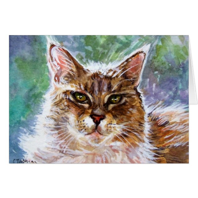 De kat kikken (Voorkant Horizontaal)