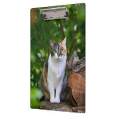 De kat klembord (Links)