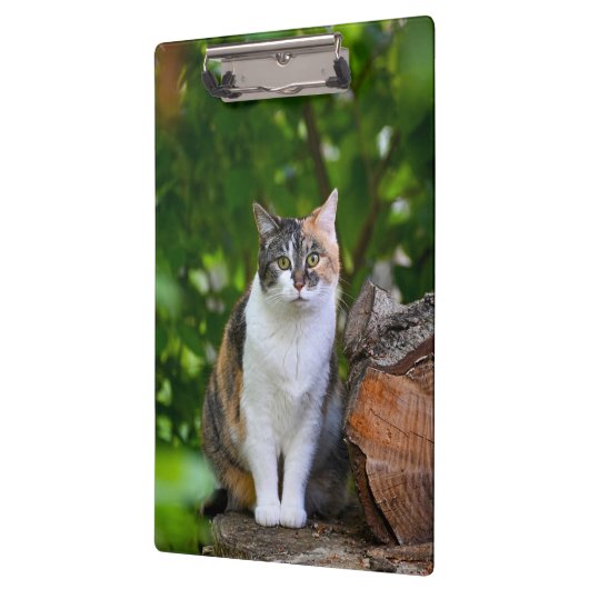 De Kat      Klembord (Links)