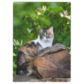 De kat klembord (Achterkant)