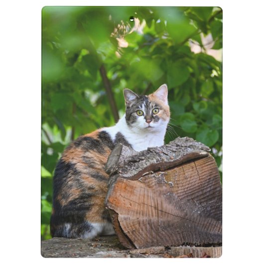 De Kat      Klembord (Achterkant)