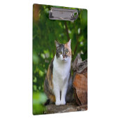 De kat klembord (Rechts)