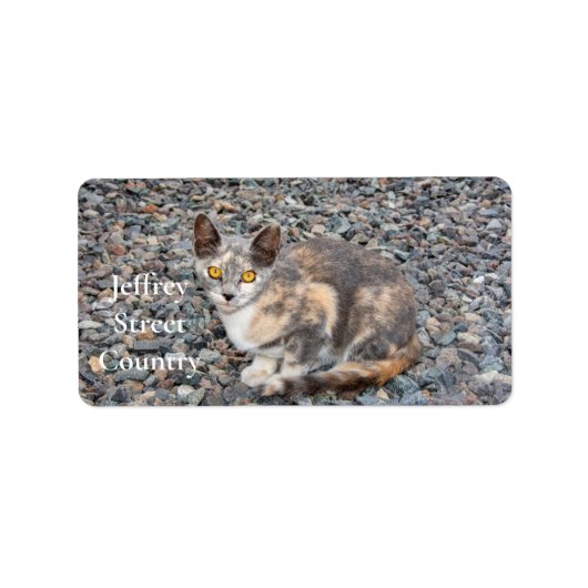 De kat   kussenhoes etiket (Voorkant)