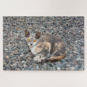 De kat   kussenhoes legpuzzel