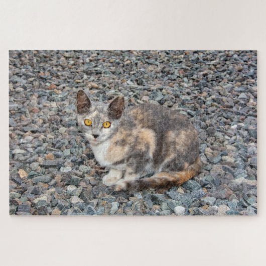 De kat   kussenhoes legpuzzel (Horizontaal)