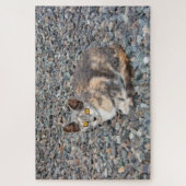 De kat   kussenhoes legpuzzel (Verticaal)