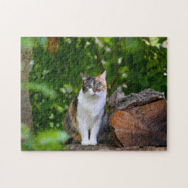 De kat legpuzzel