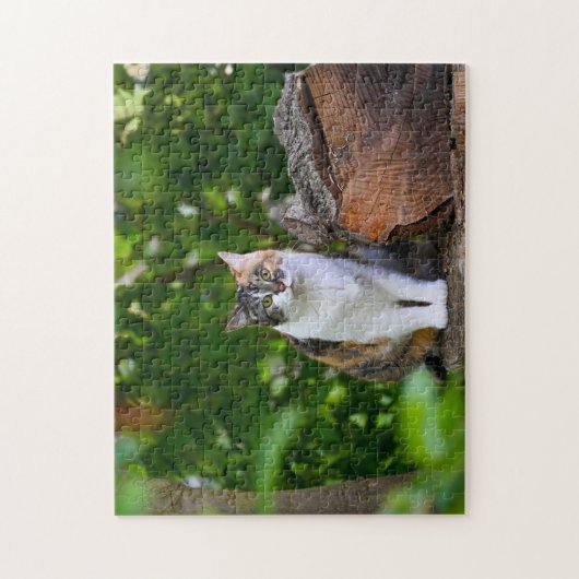 De kat legpuzzel (Verticaal)