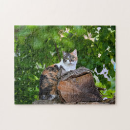 De kat legpuzzel