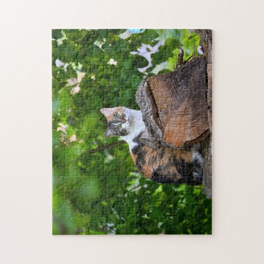 De kat legpuzzel (Verticaal)
