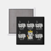 De kat magneet (Voorkant / Achterkant)