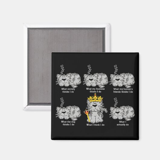 De kat magneet (Voorkant / Achterkant)