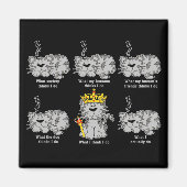 De kat magneet (Voorkant)