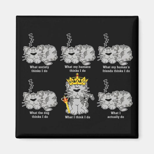 De kat magneet (Voorkant)