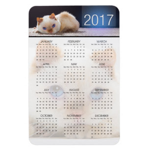 De Kat Magnetische Kalender 01 proberen Magneet