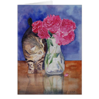 De kat moet alleen de mooie pinda's ruiken.