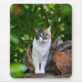 De Kat     Muismat