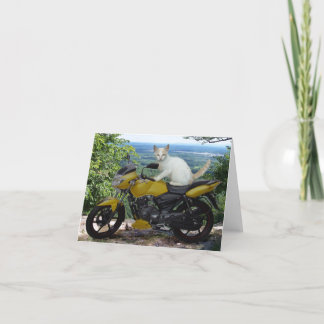 De Kat Notecard van de fietser Feestdagen Kaart