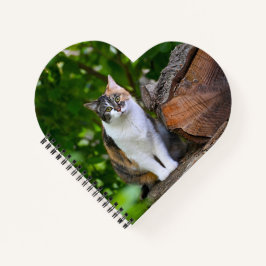 De Kat     Notitieboek