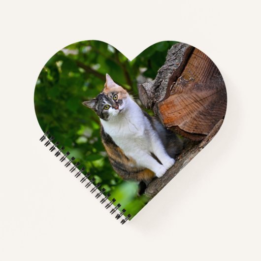 De Kat     Notitieboek (Voorkant)