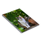 De kat notitieboek (Rechterzijde)