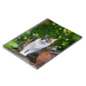 De kat notitieboek (Linkerzijde)