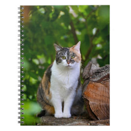 De Kat    Notitieboek