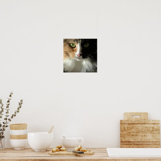 De Kat-Ogen Poster (Keuken)