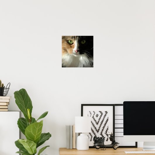 De Kat-Ogen Poster (Thuiskantoor)