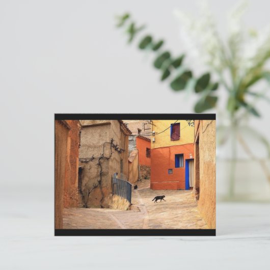 De kat op mijn straat, Art Briefkaart (Staand voorkant)