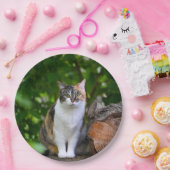 De Kat      Papieren Bordje (Feest)