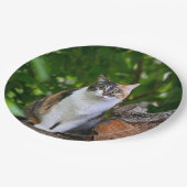 De Kat      Papieren Bordje (Gekanteld)