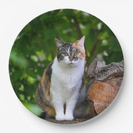 De Kat      Papieren Bordje