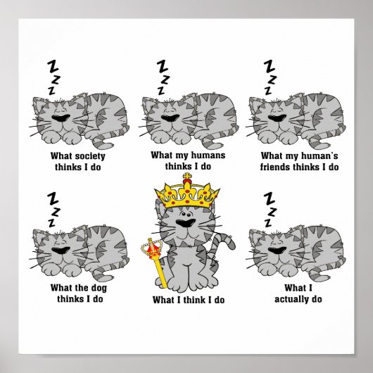 De kat poster (Voorkant)