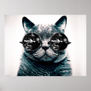 DE KAT POSTER