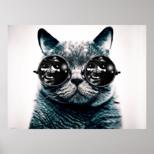 DE KAT POSTER (Voorkant)
