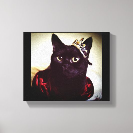 De Kat prinses Canvas Afdruk (Voorkant)