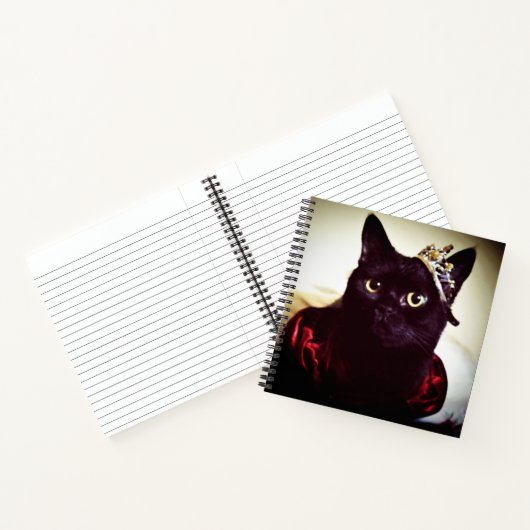 De Kat prinses Notitieboek (Binnen)