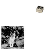 De kat rubberstempel (Gestempeld)