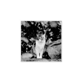 De kat rubberstempel (Afrduk)